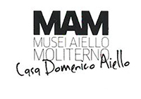Musei Aiello Moliterno - 6